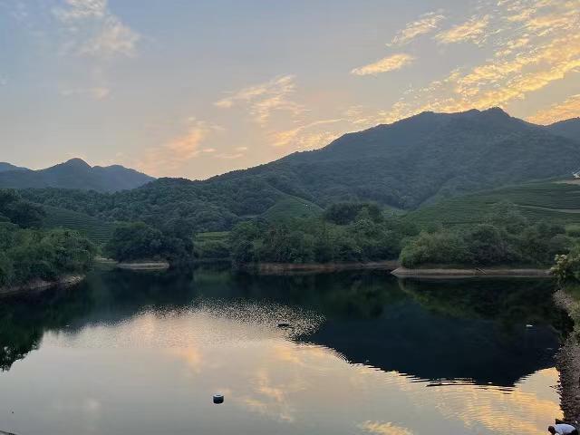 煦煦春日探龙坞，凝心聚爱共此游